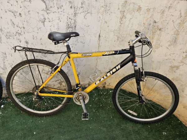 אופני הרים זנב קשיח,חברה:RALEIGH,מידה 26.
