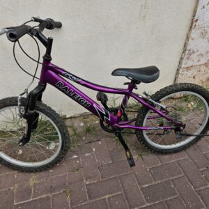 אופני ילדים,זנב קשיח,RALEIGH,מידת גלגל:20.