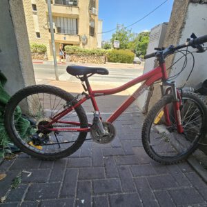אופני הרים/שטח,זנב קשיח,חברה OCTANE,מידה 24.