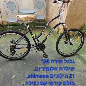 אופני עיר .של חברת rook